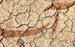 هشدار به دولت آینده ؛ دو سناریوی خطرناک درباره بحران آب خوزستان / آیا کمتر از دو ماه دیگر آب کرخه و دز تمام می شود؟ هشدار به دولت آینده ؛ دو سناریوی خطرناک درباره بحران آب خوزستان / آیا کمتر از دو ماه دیگر آب کرخه و دز تمام می شود؟